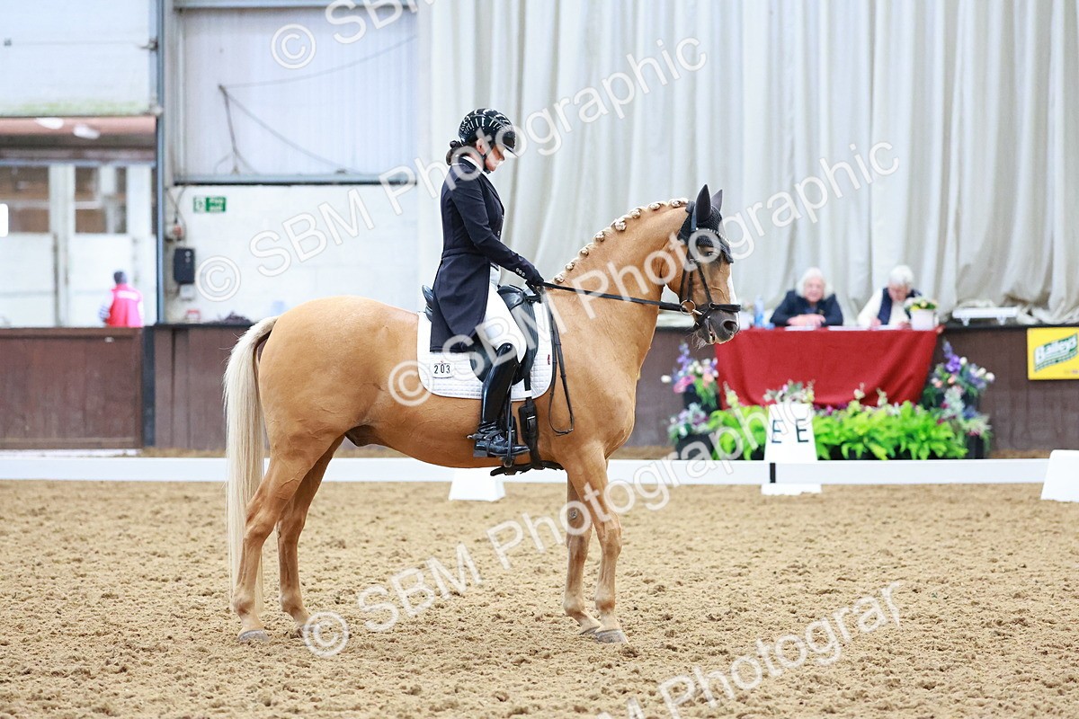 SBM_021320 - Class 25 - FEI PSG Bronze