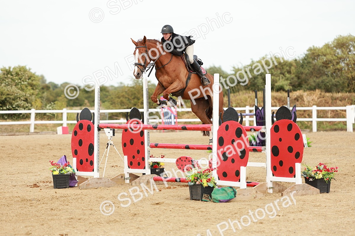 SBM_008285 - Class 4 - Senior Foxhunter - 1.20m Open
