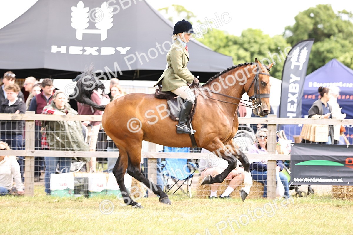 SBM_14716 - Class 88-89 - LIHS BSHA Rising Star of Ridden Hunter Type