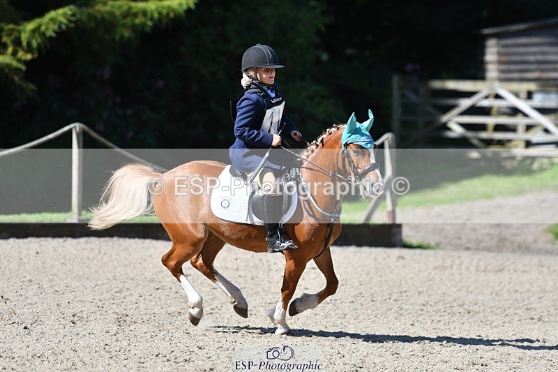 240728-100227-02075 - PC70, Round 2