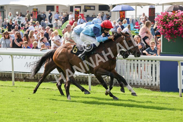yr05092021rP-50 - Pony Races 138 and 148 cm