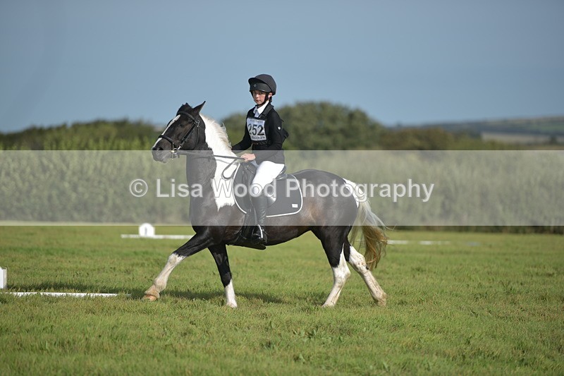 RAY_7630 - Class 2B: Trekenning Open: Dressage