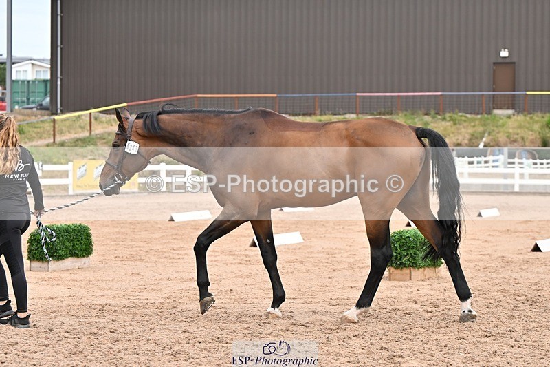 250716-152639-01953 - Trot Up 2.30 to 3.30
