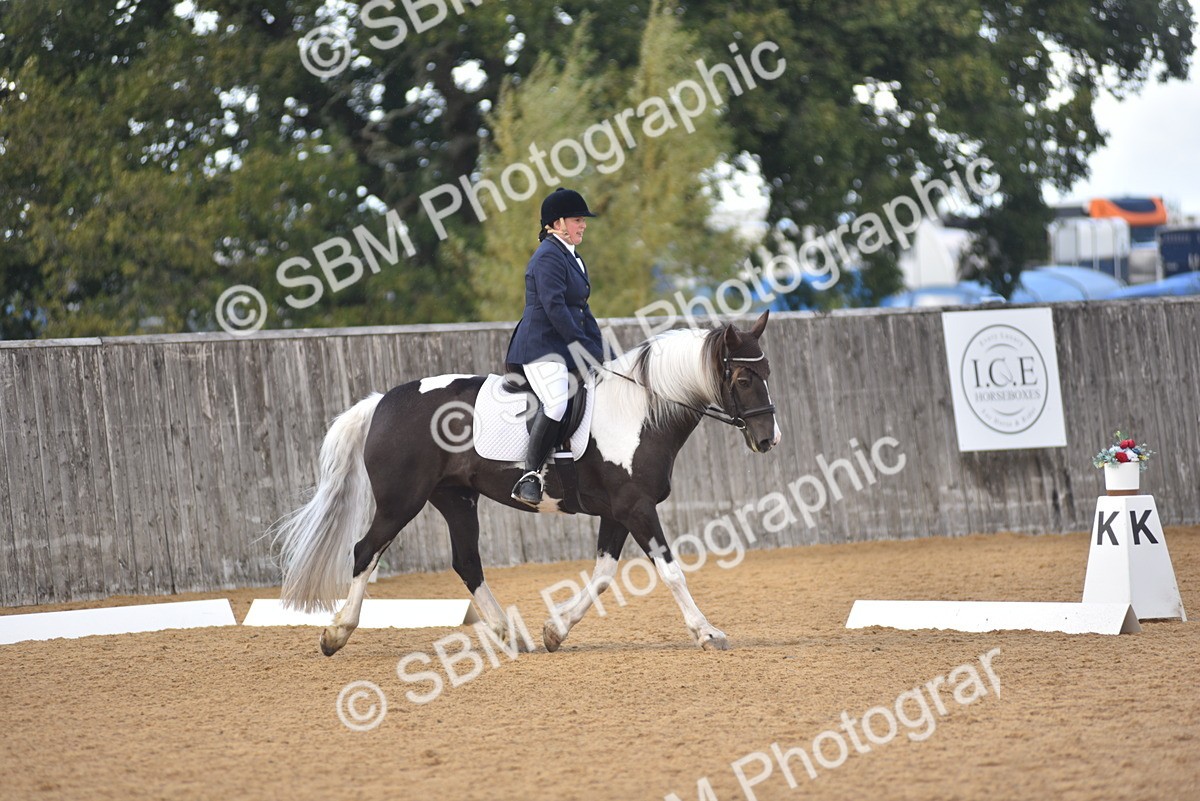 SBM_22403 - D13 - Grand Tour Championship Prelim 3