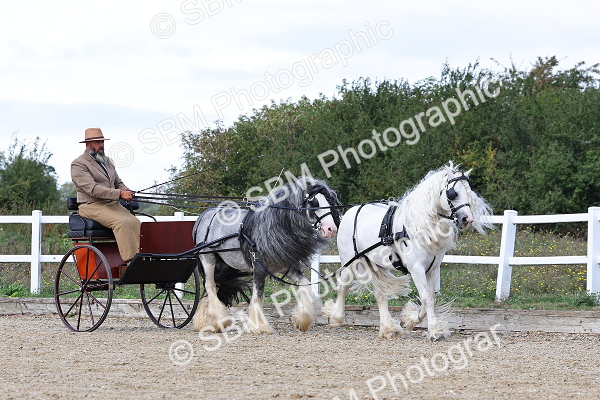 SBM_001163 - Class 16 - Pairs ,Multiples and Tandems