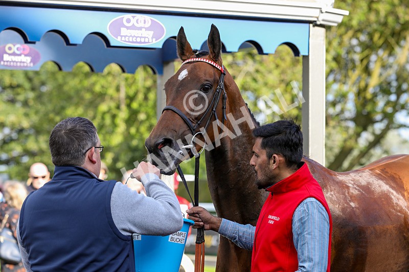 180624-Race 2-Coppull Hall Lane-7707 - Race 2