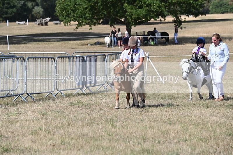 WJ6_9481 - Class 40 Cheekiest Pony/Horse