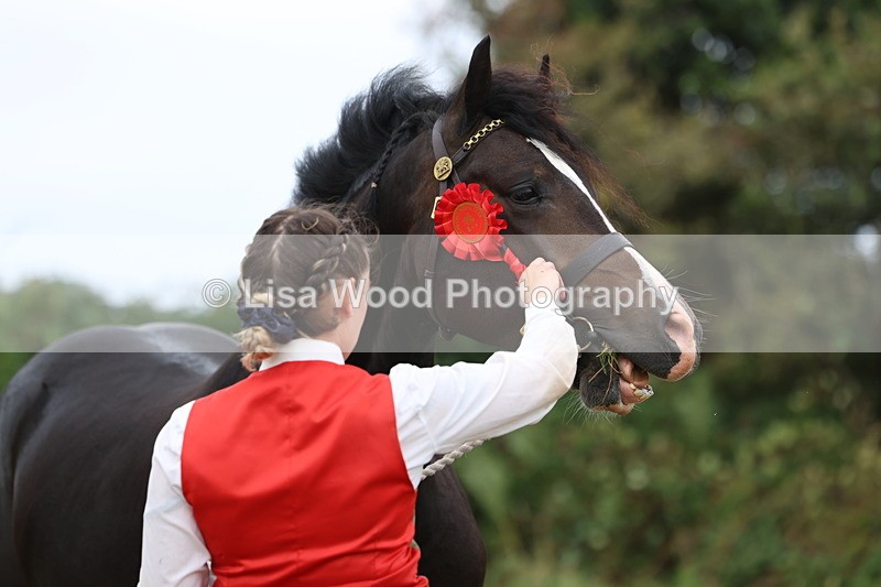 3E7A4254 - Class 15: Two Year Olds