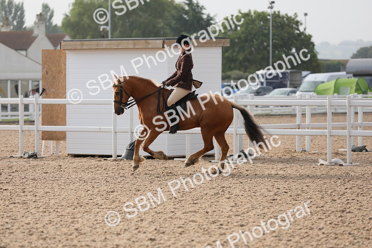 SBM_10090 - Class 302 Ridden M&M -Large Breeds