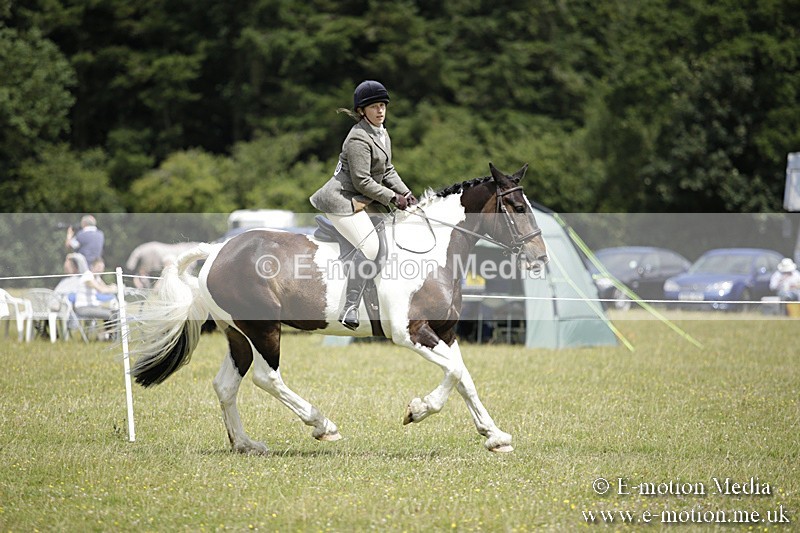 BVR160717-1905 - Ring 1 BVRC Show 16/07/17