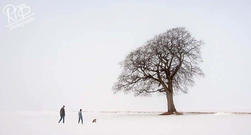 Walking The Dog - Creative Images