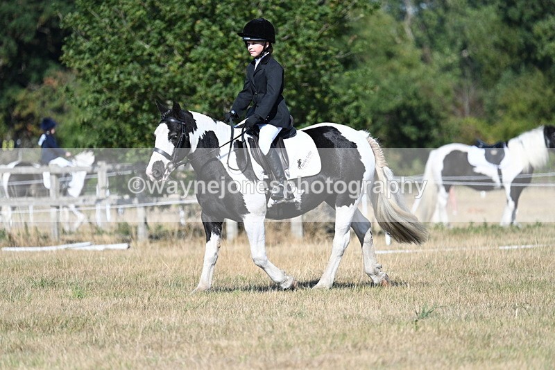 WJ7_9391 - Time 10:08 to 10:13