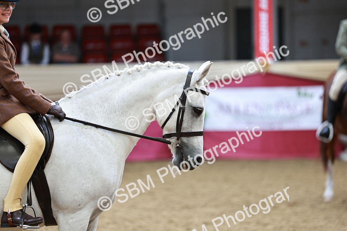 SBM_03017_Class 5a - Area - Ridden Veteran - Vicky Gutteridge