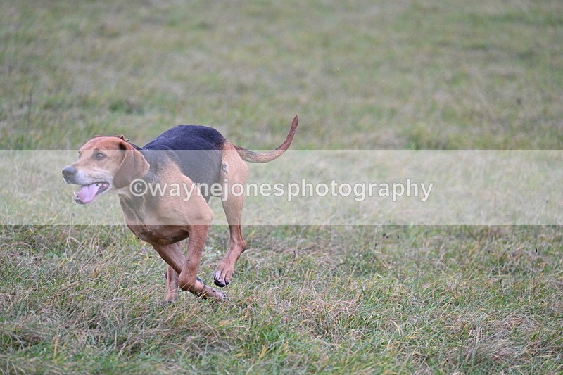 WJ7_0445 - Camera 1