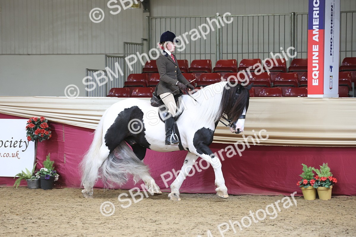 SBM_23705 - class 906 - Supreme Final - Ridden Pre Vet