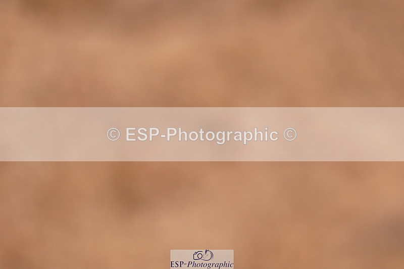 240628A-181830-00712 - Cls 3 1m Open