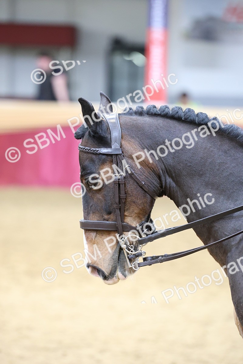 SBM_23630 - Class 904 - Supreme Final - Ridden Diamond