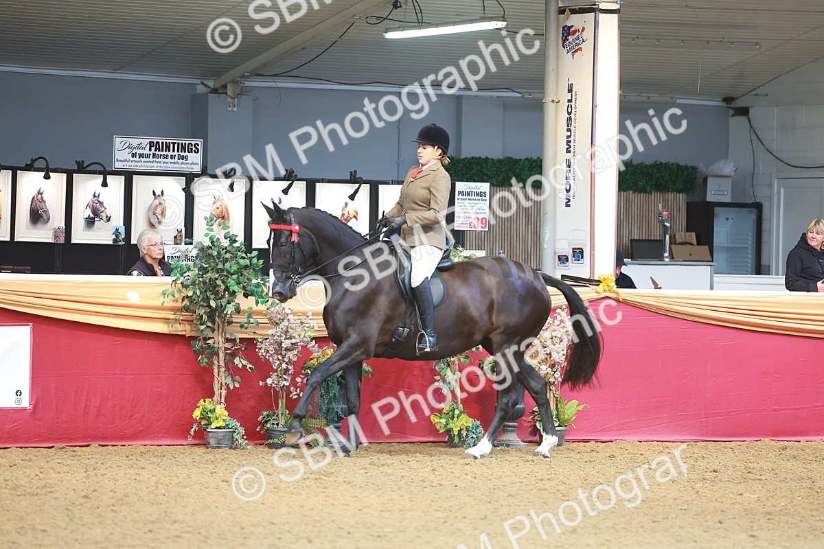SBM_10605 - Class 103 - HOYS Veteran Qualifier - Ridden Pre Vet