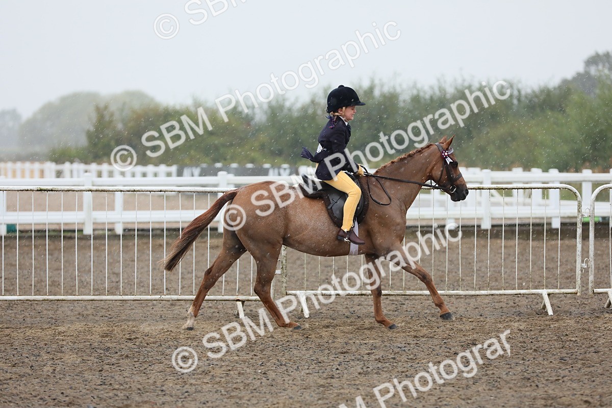 SBM_20564 - Class 804 - Ridden Veteran Pony
