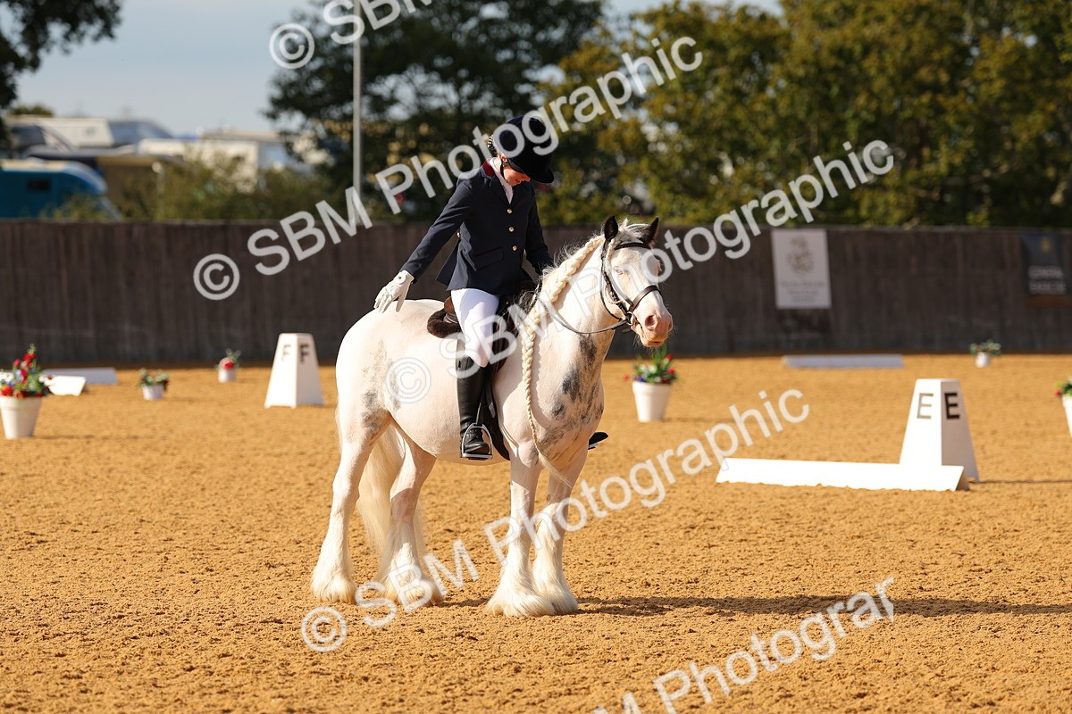 SBM_49672 - D22 - Junior Championship - Intro B