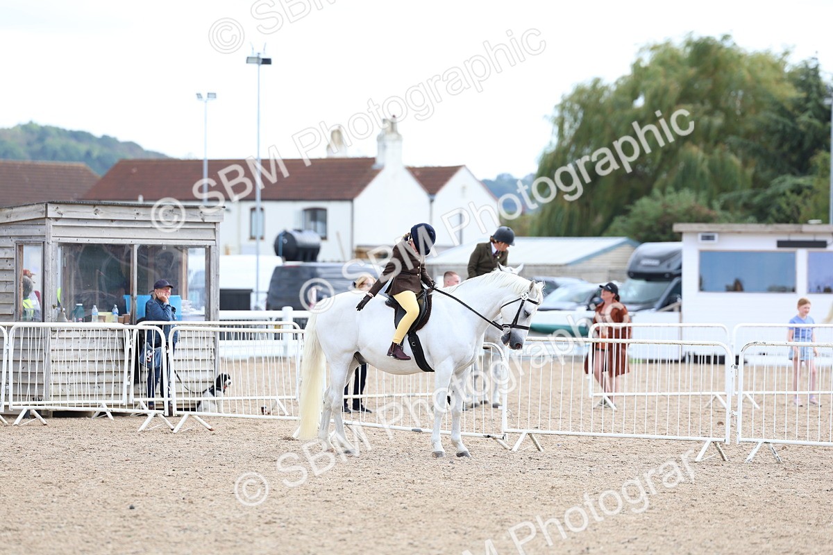 SBM_15816 - Class 314 - Family Horse - Pony