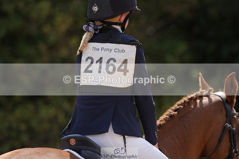 250824A-132325-37462 - 2164-Violet.Guerin-What's.his.name