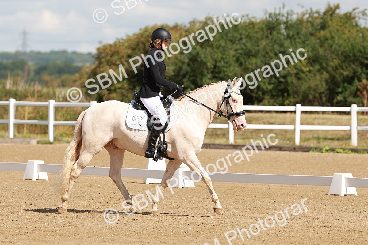 SBM_000305 - Class 2 - Prelim 6