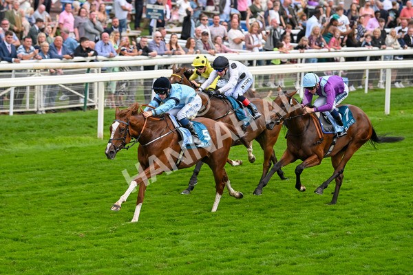 080925-Race 6-Rhapsody-7781 - Race 6 5.00pm Sky Bet Build A Bet Fillies' Handicap