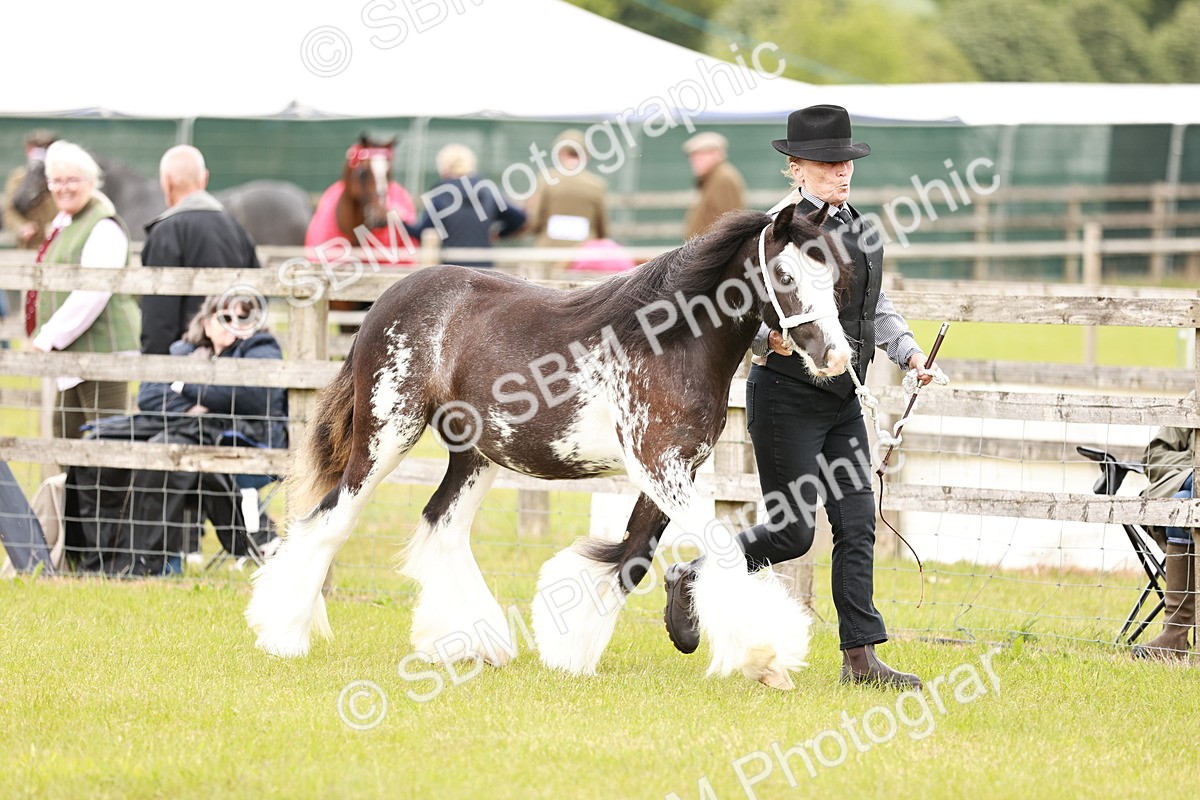 SBM_05952 - Class 39-41 TGCA In Hand and Ridden