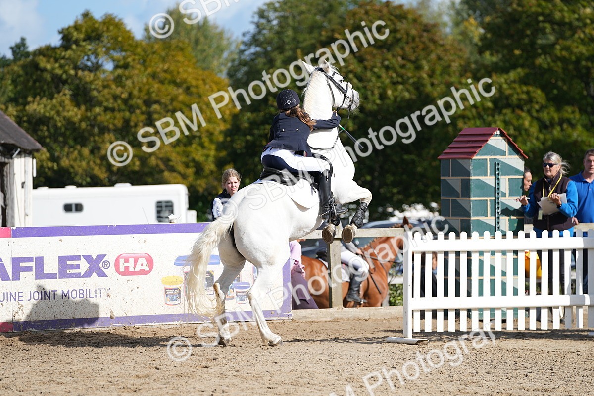 SBM_16891 - J58 - Clear Round 50cm