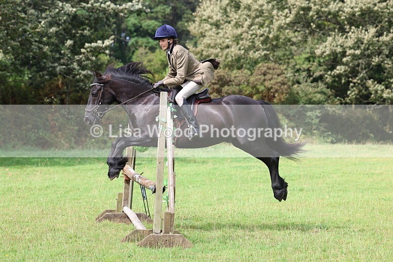 3E7A5805 - Class 26 and 27: 70cm Working Hunter
