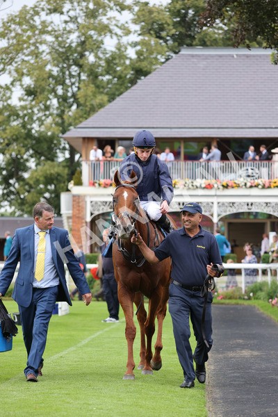 yr20082021r7-36 - Race 7 5.10pm Sky Bet Mile