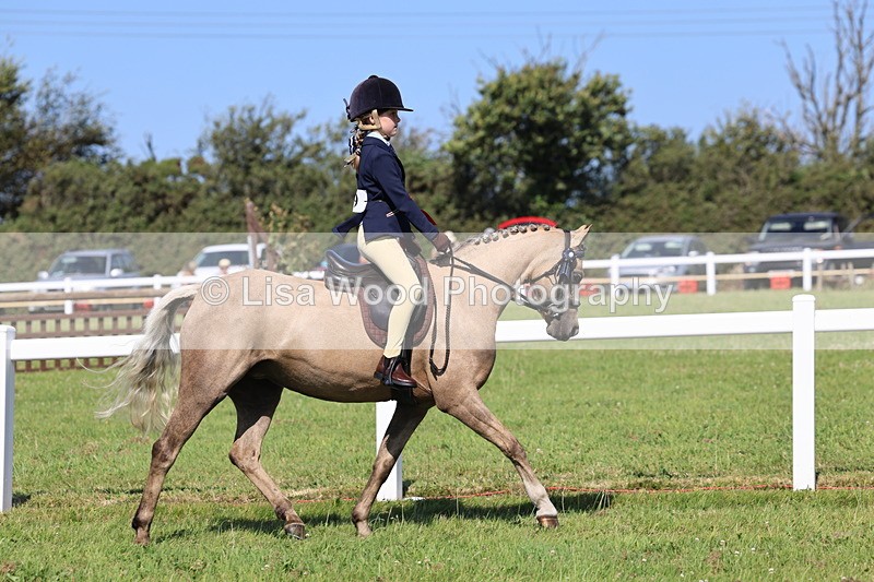 IMG_1835 - Plaited Mini Ridden Championship