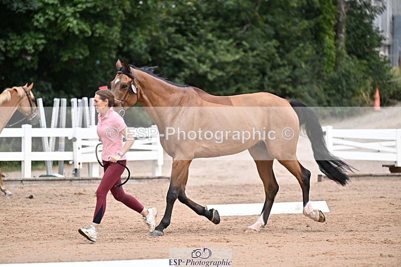 250716-132852-00549 - Trot Up 12.30 to 1.30