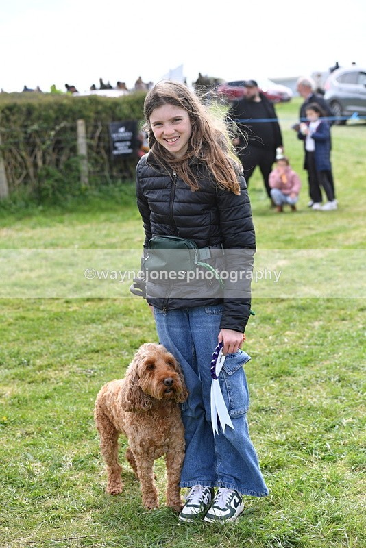 WJ5_0227 - Class 5 Best Veteran / 7 years & over