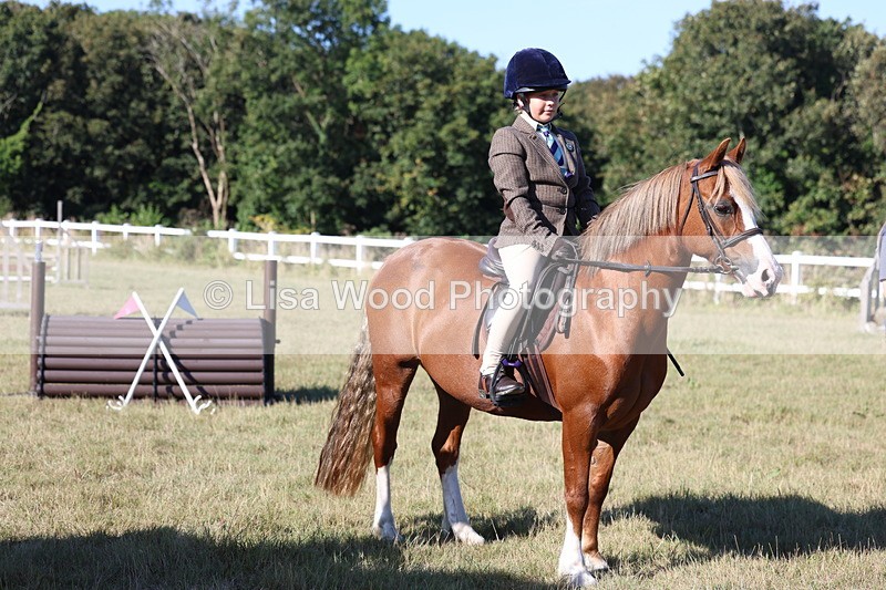 3E7A5376 - Class 2: Working Hunter 60cm