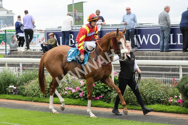 yr04092022r3-12 - Race 3 2.55pm The Elevator Company Garrowby Stakes
