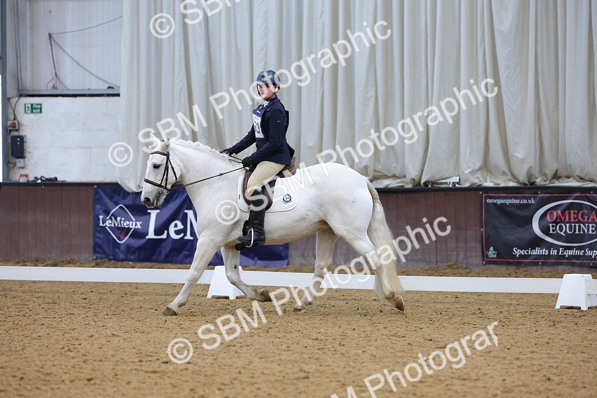 SBM_004269 - Intermediate