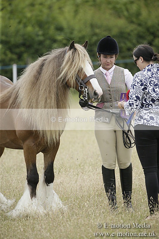 B230619-0753 - Bourne Valley Riding Club Summer Show 23/06/19