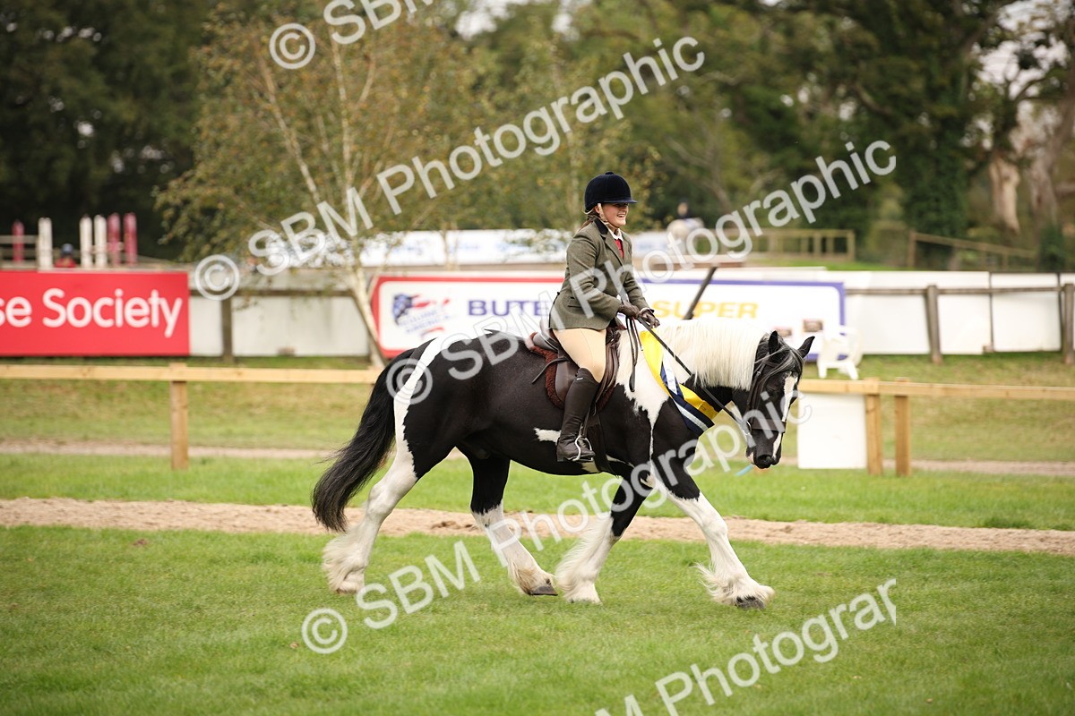 SBM_73669 - Ridden Horse Supreme Championship