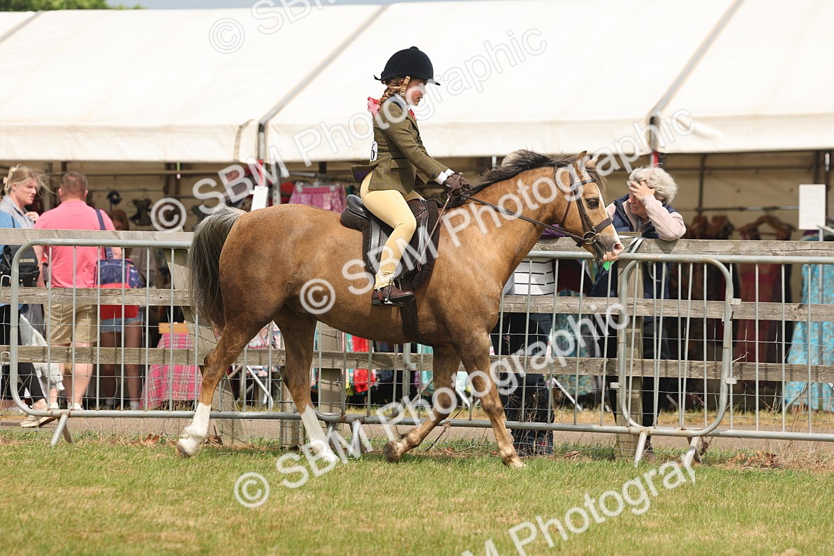 SBM_06854 - Class 74-75 - M&M Lead Rein and First Ridden Pony