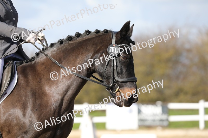 20260314-4849 - CT6 - Elementary 1