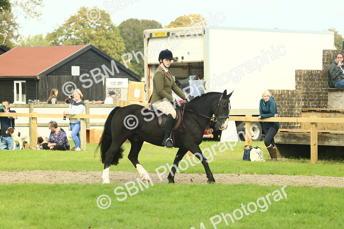 SBM_68180 - S58 - Mini Show Cob Ridden
