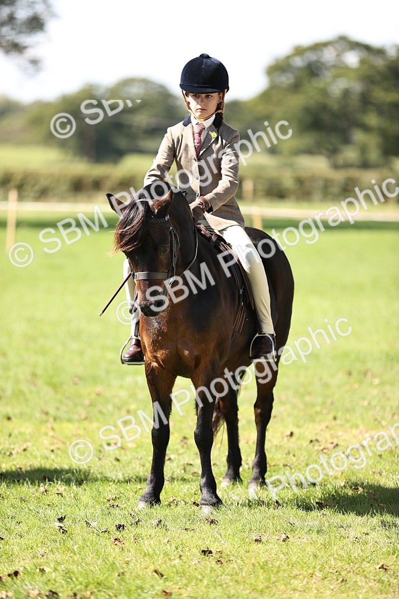 SBM_19356 - S3 - TSR Ridden Pony Showing