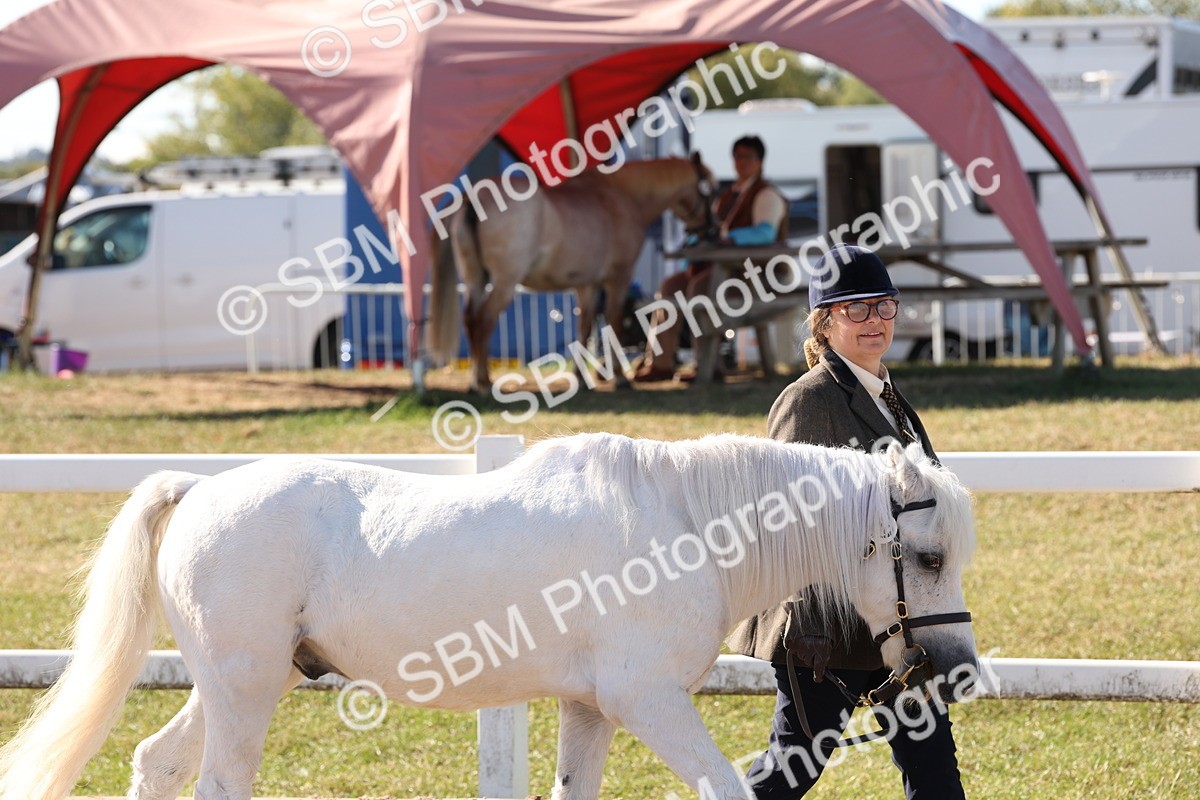 SBM_12863 - Class 206 - IH Non Show Type Pony
