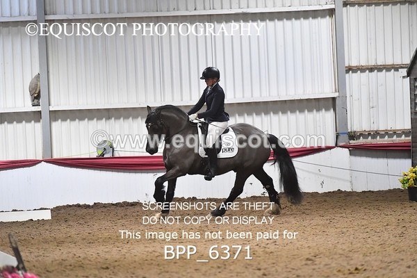 BPP_6371 - 37 Ellis Simister