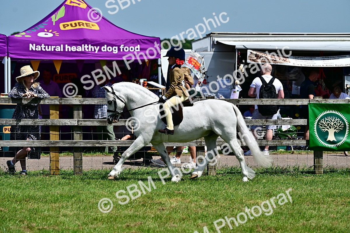 SBM_06040 - Class 59-60 - TSR M&M  Lear Rein and First Ridden Amateur of the year