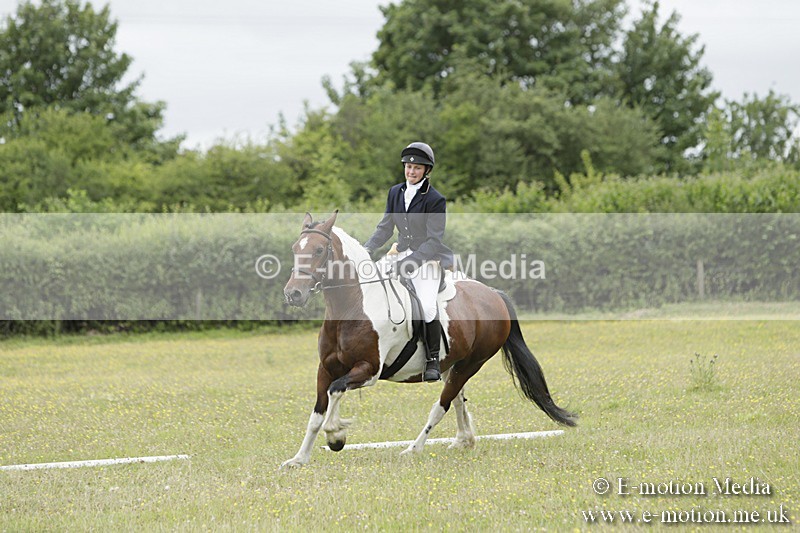 BVR160717-1386 - Class 3 Dressage 16/07/17