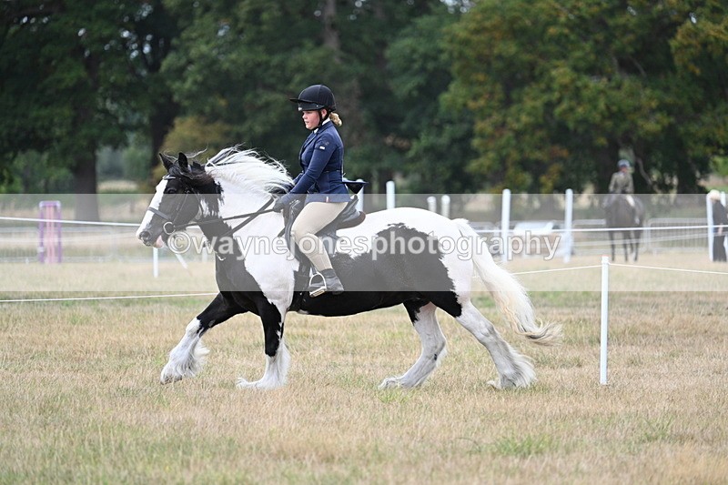 WJ7_5118 - Class 12 Ridden Cob