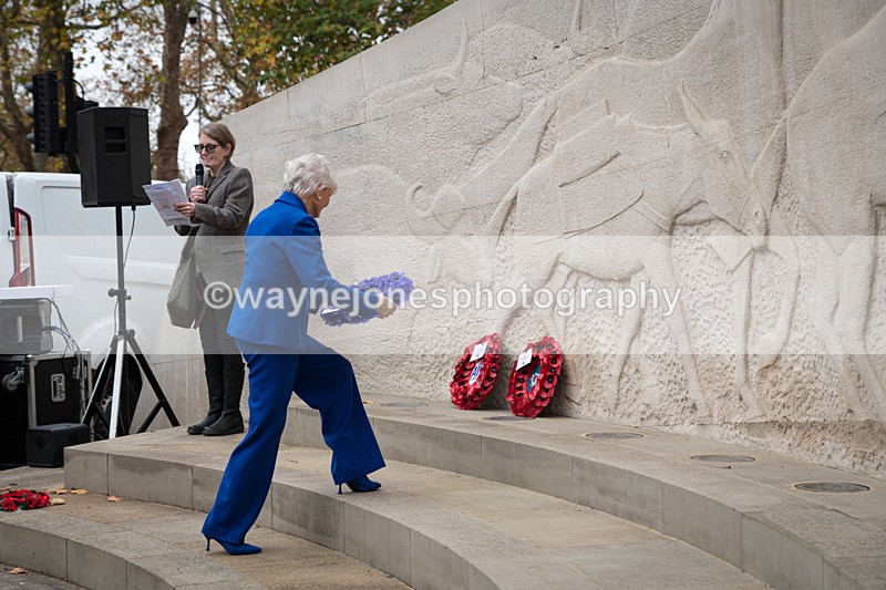 Z62_4597 - Animals In War Memorial 2025 - Park Lane, London